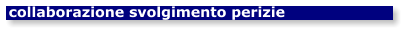 collaborazione svolgimento perizie